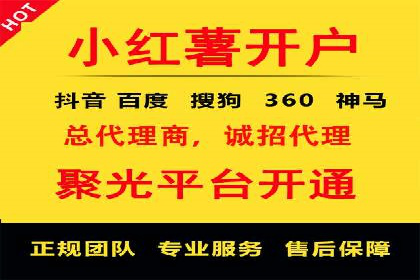 百度广告投放策略与效果评估案例